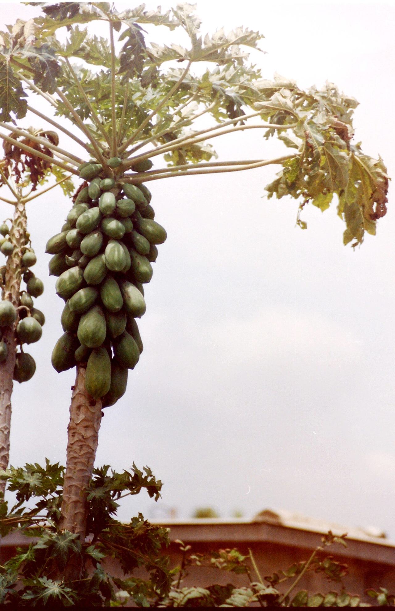 Teshie South, Accra, Ghana