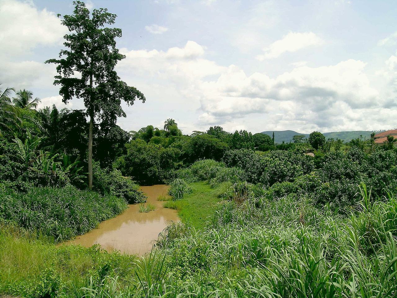 Little river at Hohoe (Volta Region, Ghana)