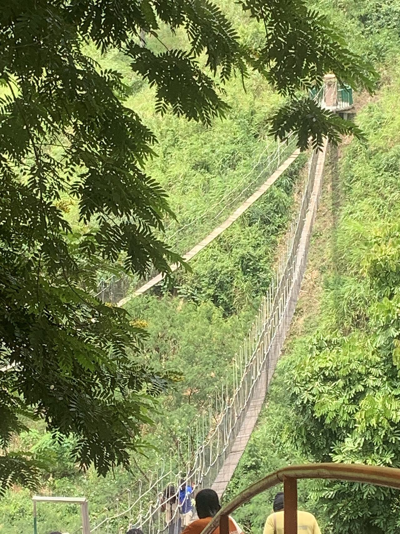 Adventurous walkway in Bono east Ghana