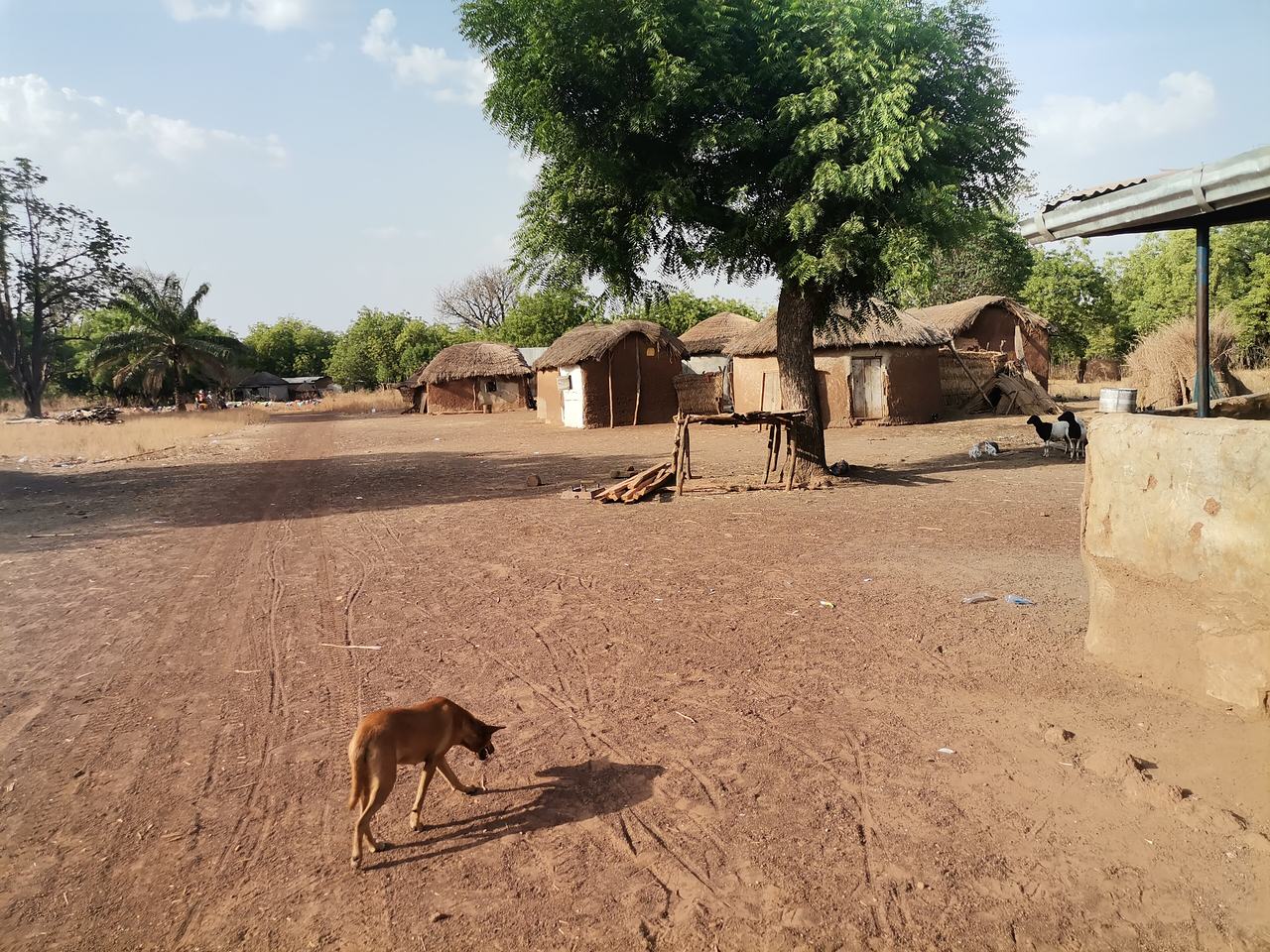 This is an image with the theme "Home + Habitat in Africa" from:
