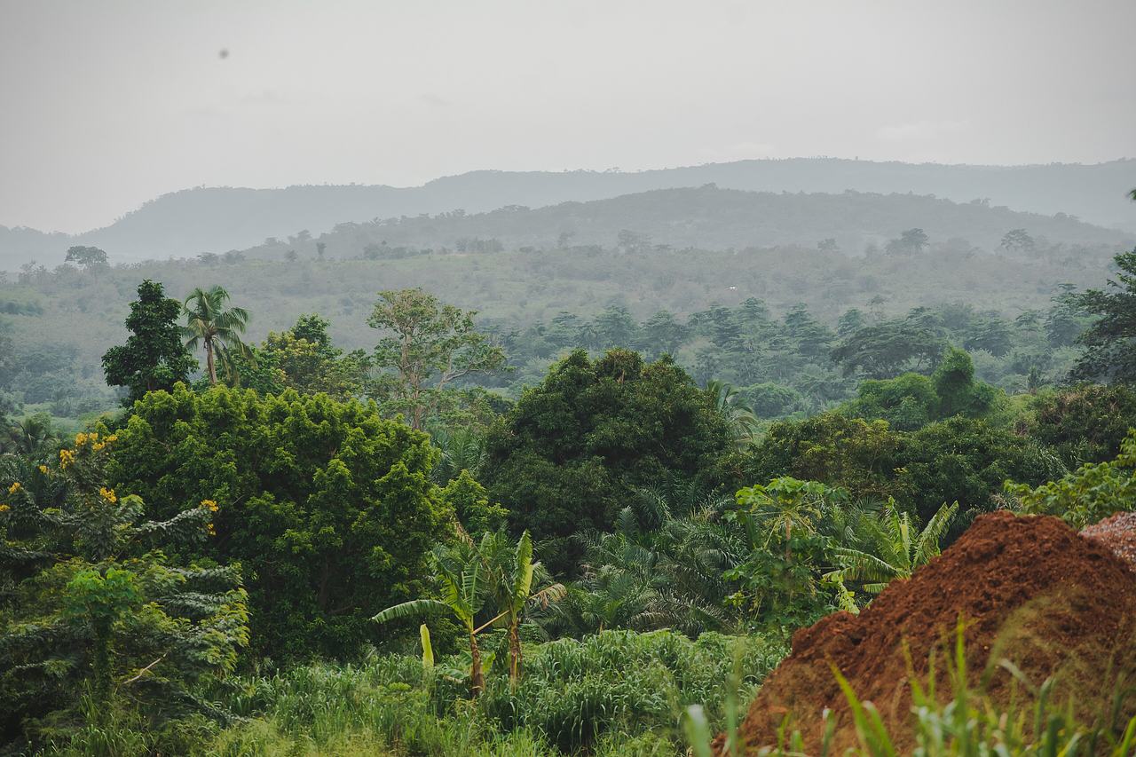 This is a file of Ghanaian Natural Heritage with ID: