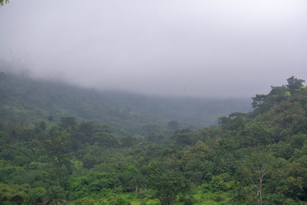Foggy green Landscape of Aburi Mampong in the Eastern region of Ghana