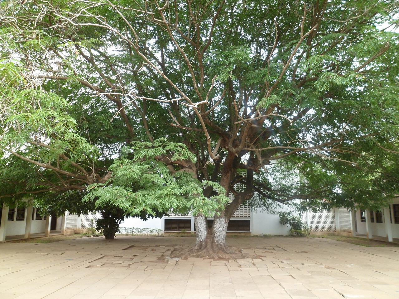 Eastern Court