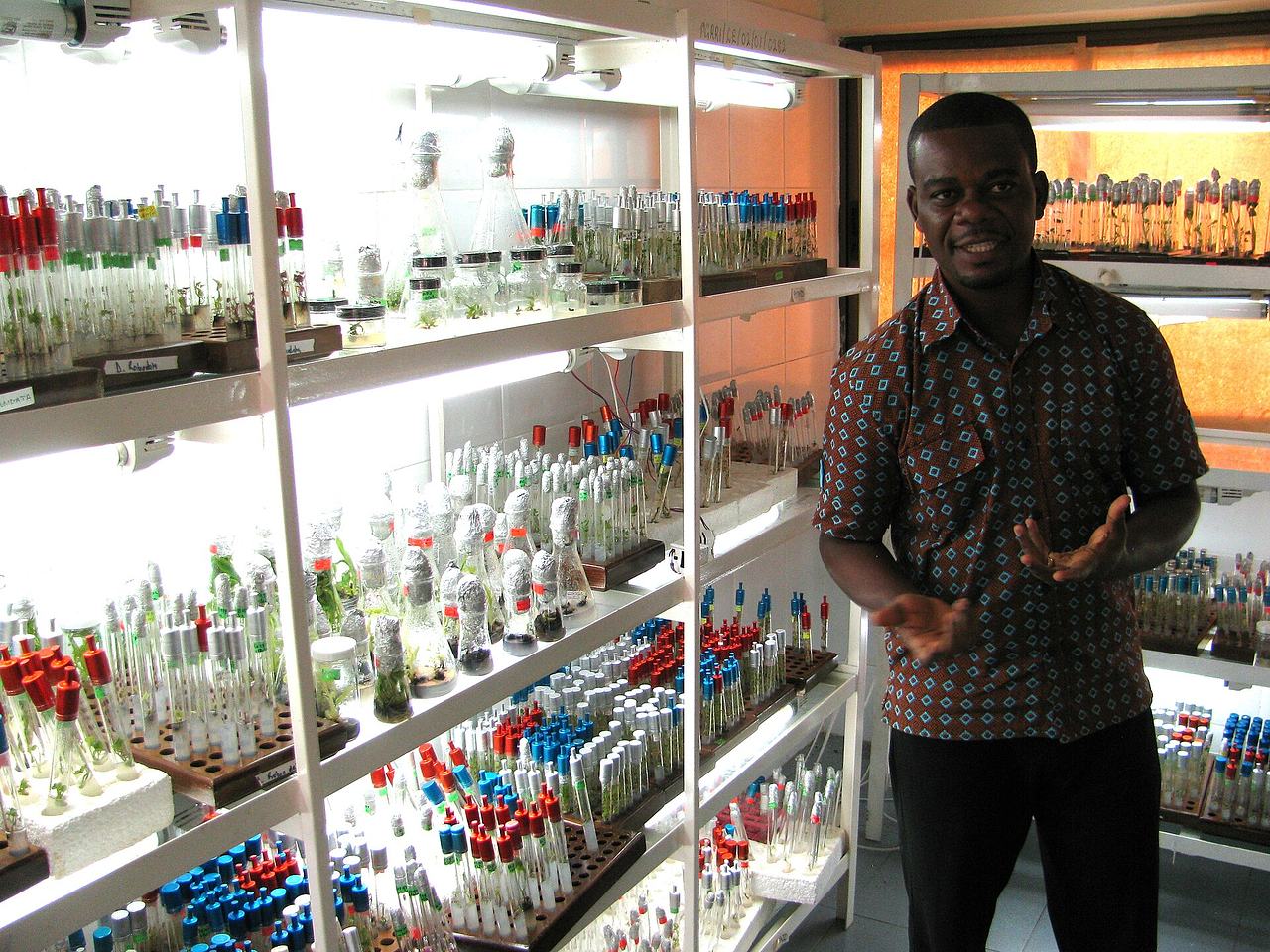 Ghana genebank, Bunso