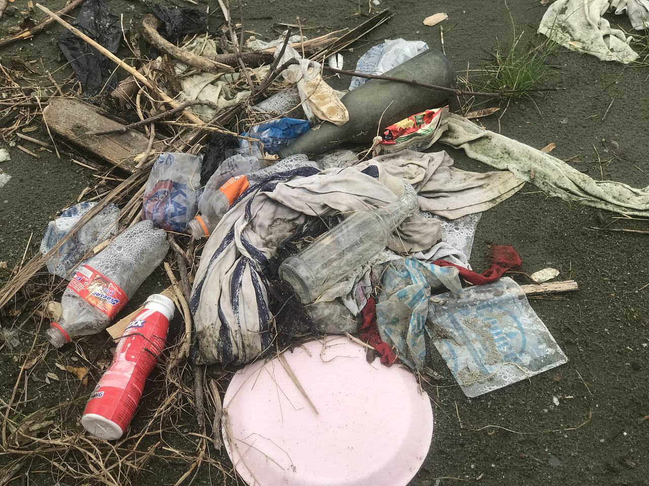 This is one of the things that affects weather conditions for living organisms that live within the enclave of the river. It has effects on the fishes in the river and the people that drink the river.