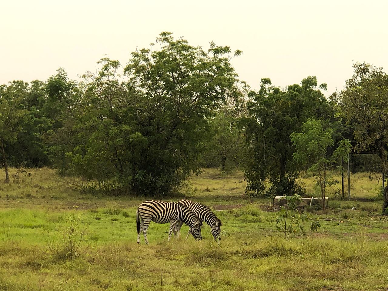 Shai Hills Resource Reserve is a resource reserve located in Doryumu in the Shai Osudoku District all in the Greater Accra Region of Ghana.
