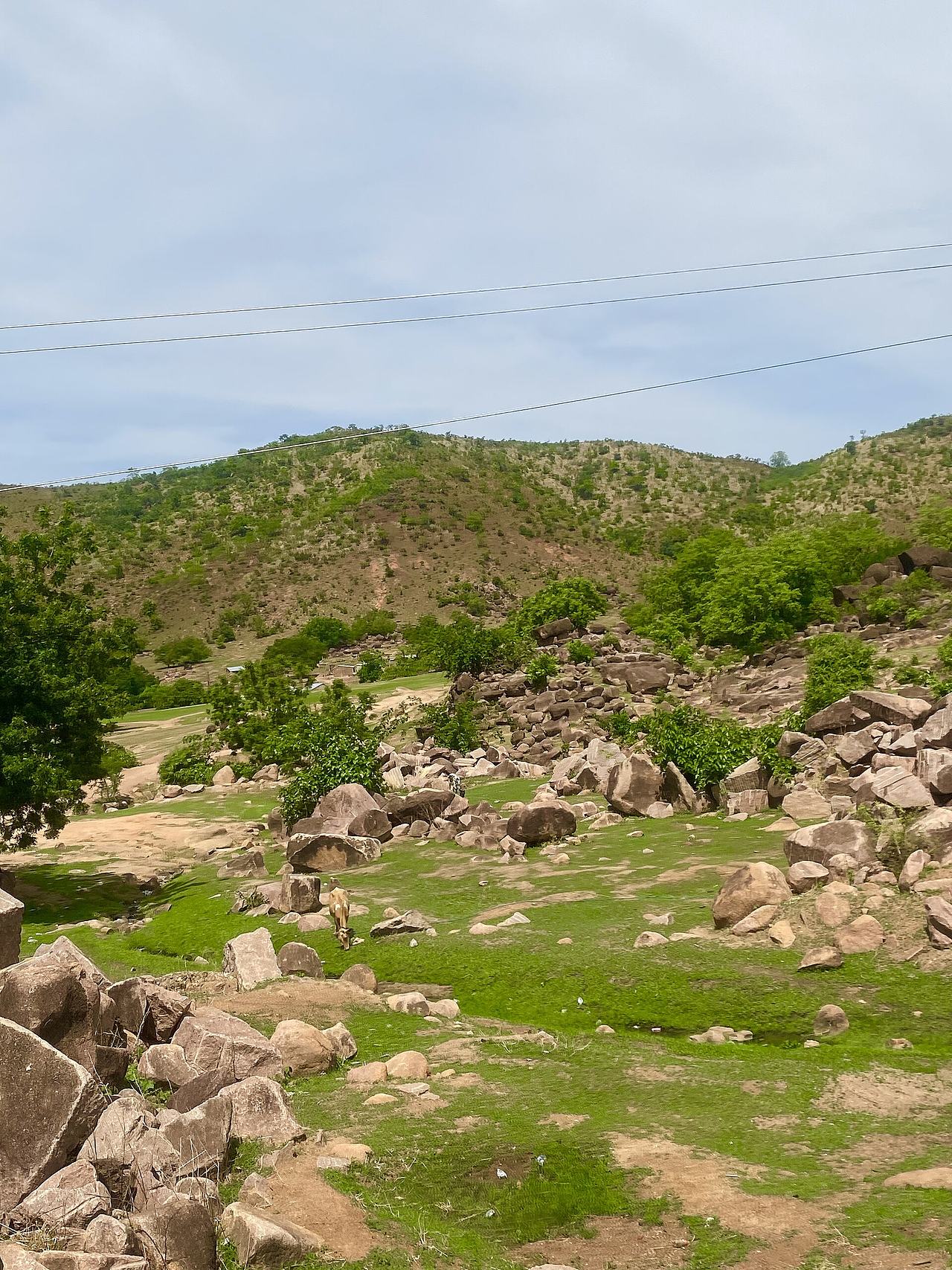 A front view of the Tongo hills