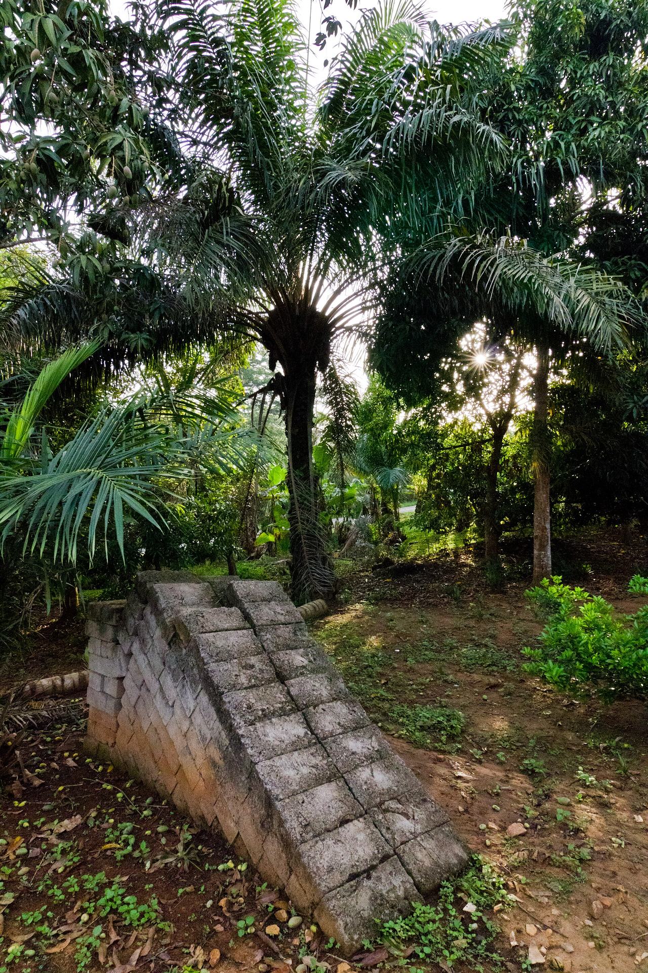 Bricks in the Jungle