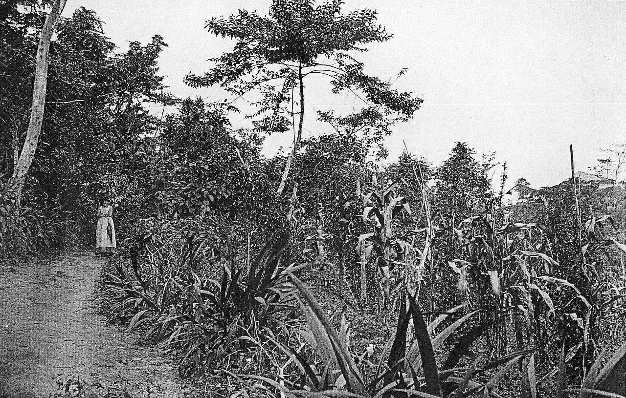The path to the Mission Station Amedzofe. Standing on the way: the wife of the missionary Ernst Bürgi.