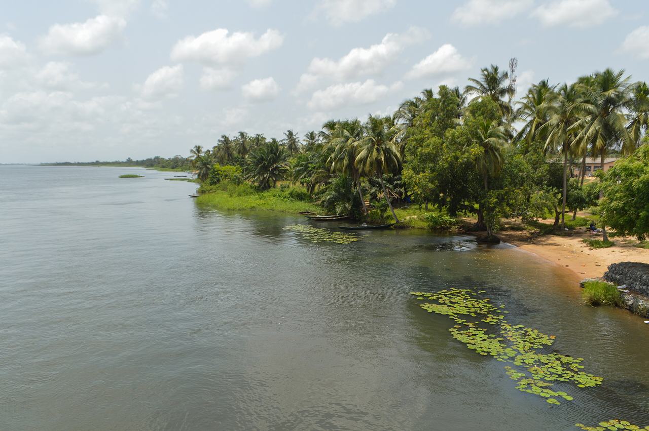 Bank of the river Volta