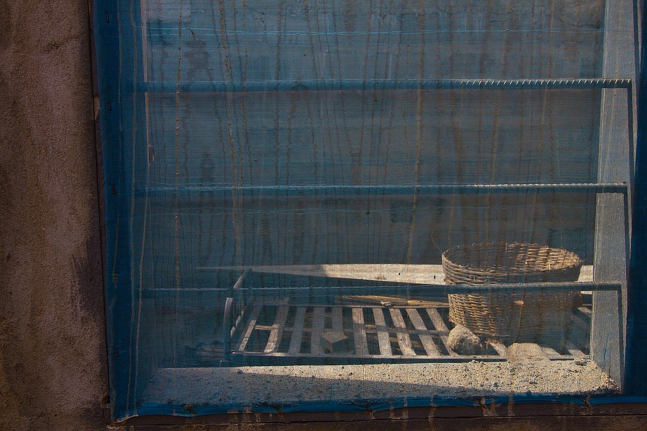 Random window