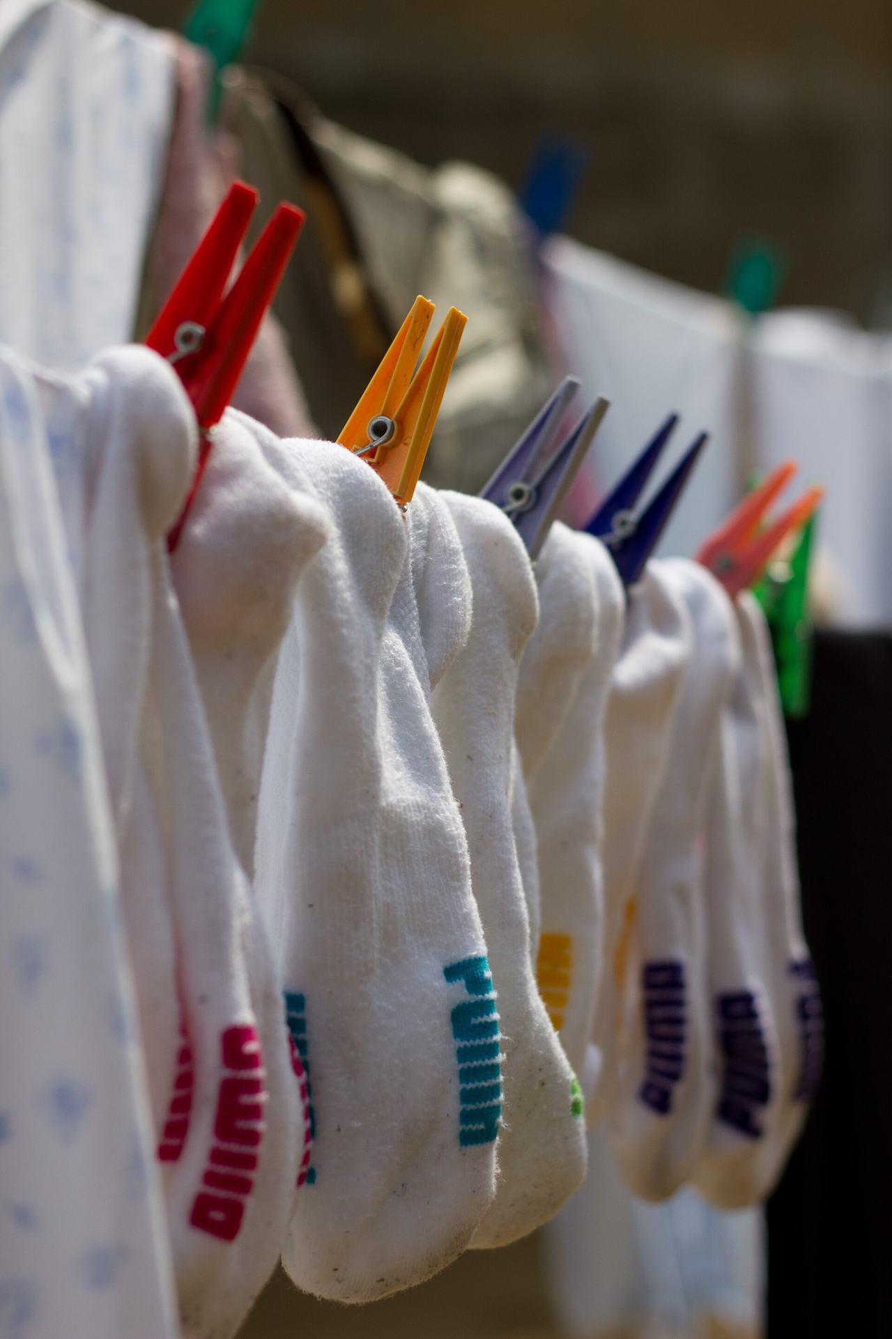 Abbey did some laundry and I took a couple pictures to test out my NEW CAMERA!!!