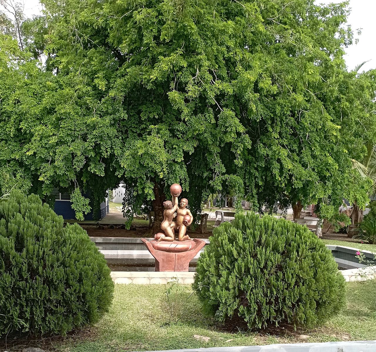 This photograph shows the greenery of nature, and the status depicts togetherness. Strength in Unity