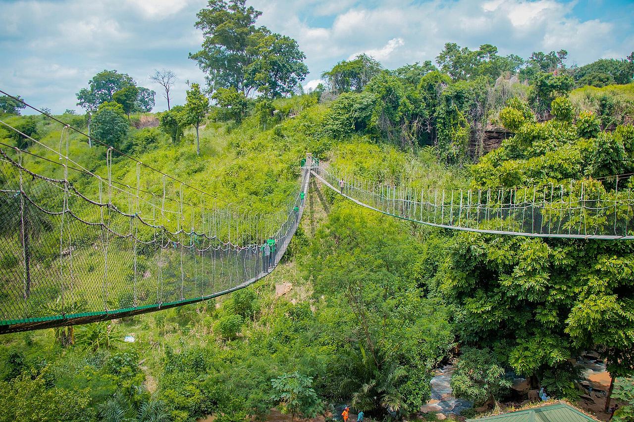 A beautiful canopy walkway with green vegetation at Kintampo waterfalls