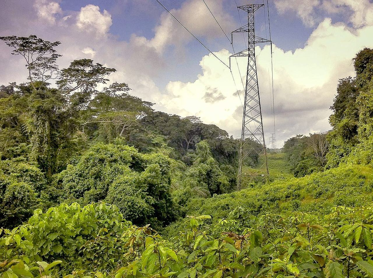 Electricity pylons, which run through the Ankasa Conservation Area (near Mpataba, Western Region, Ghana)