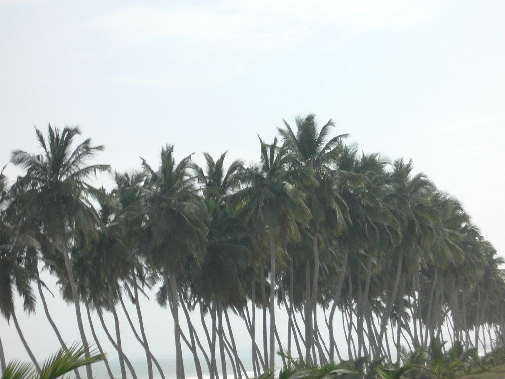 Winneba Beach, Ghana