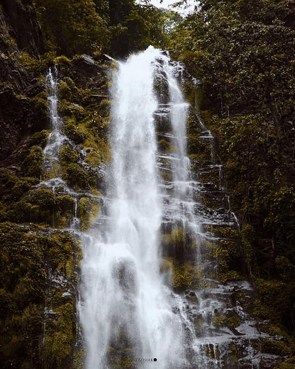 Water cascading down a tall rock face at Wli Falls surrounded by forest.