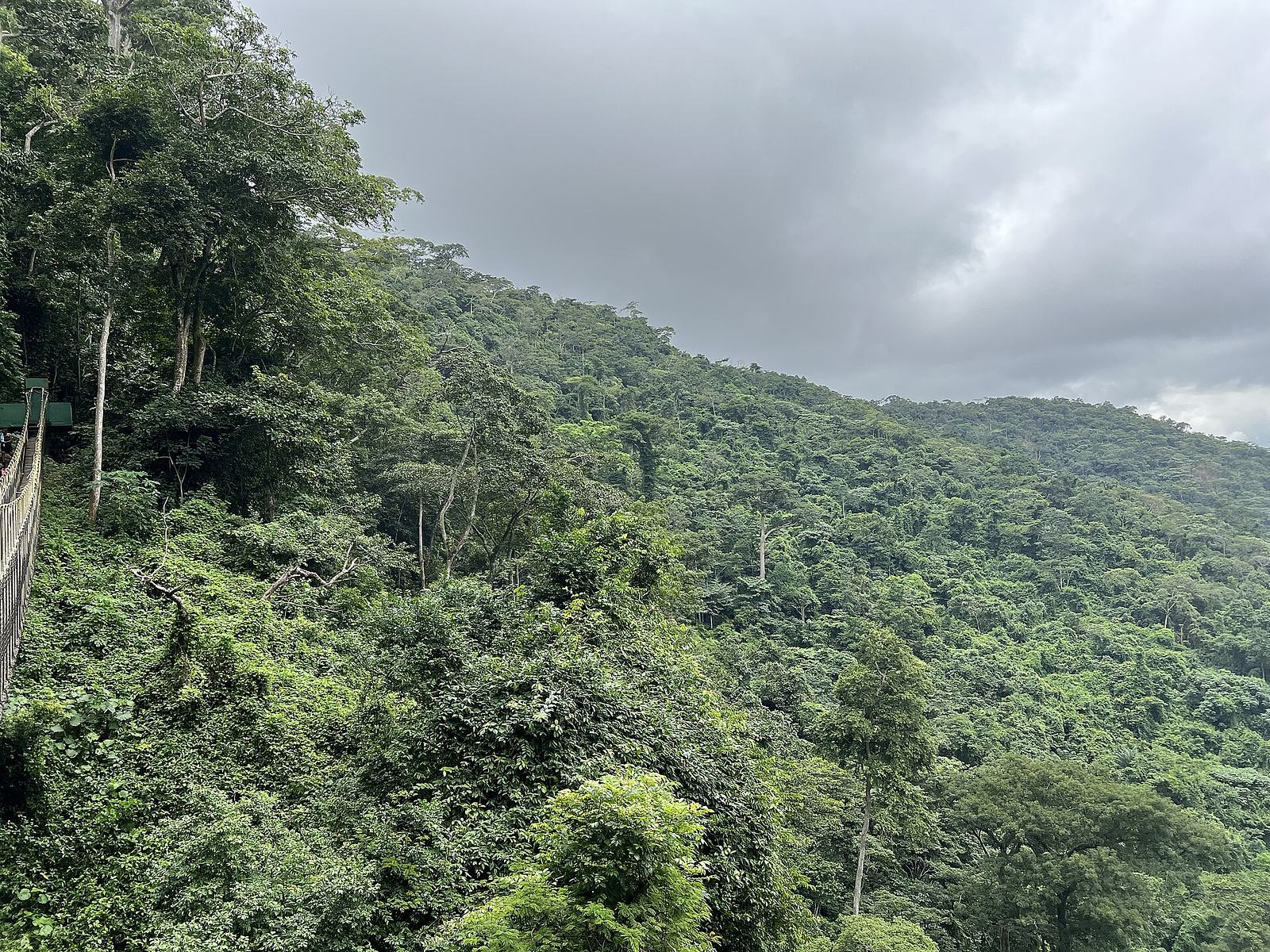 View from canopy walkway, Amedzofe (IMG 0751)