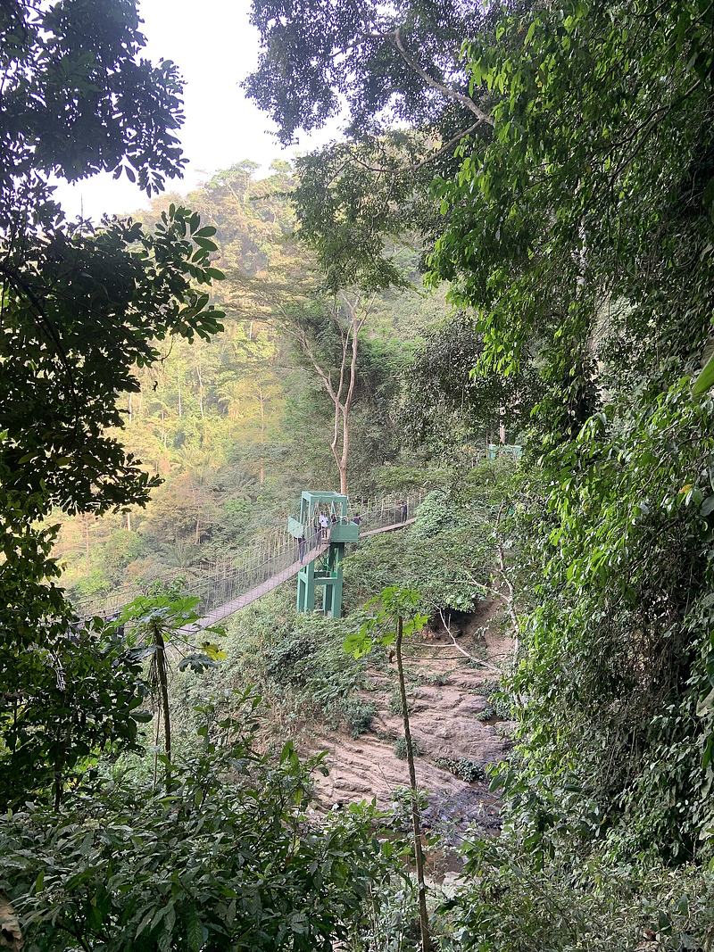 Canopy walkway in Ghana