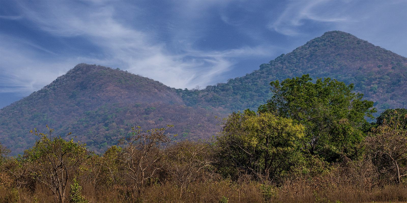 Wide landscape view of two adjacent rounded hills rising above surrounding vegetation in Kyabobo National Park, Oti Region, Ghana.