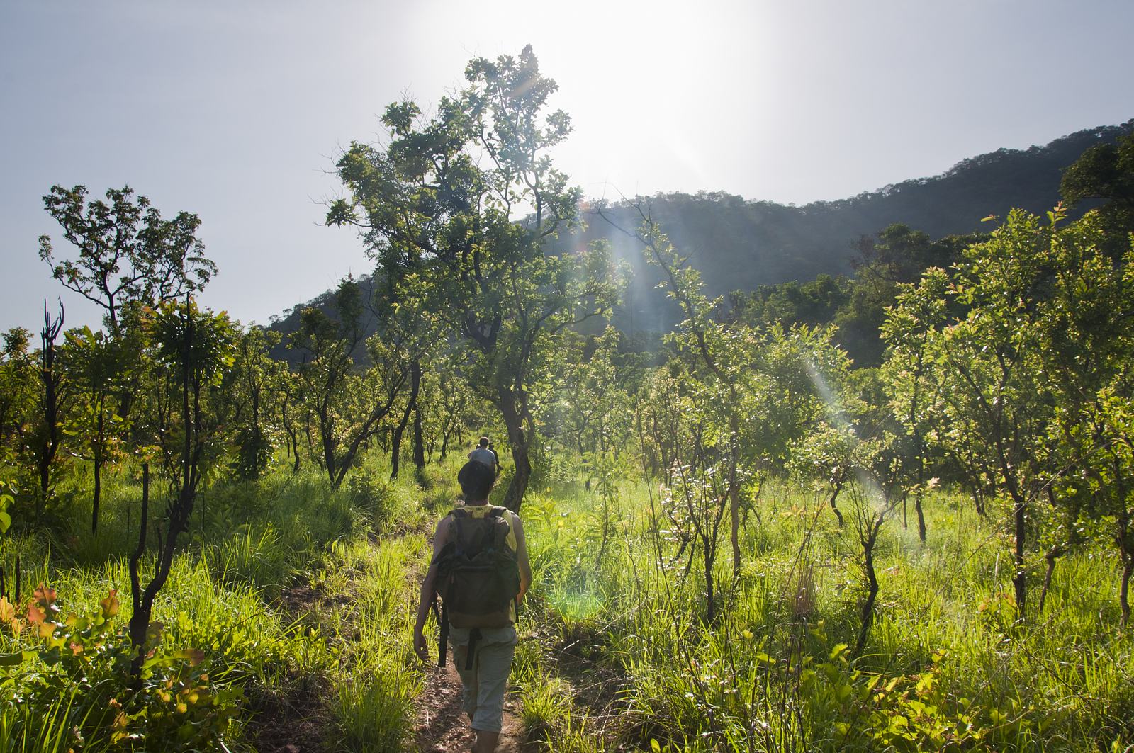 Hikers walking along a trail through the savanna-forest landscape of Kyabobo National Park.
