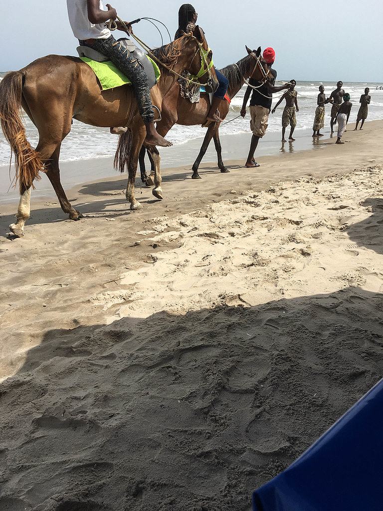 Horses for hire on Labadi beach, Accra, Ghana