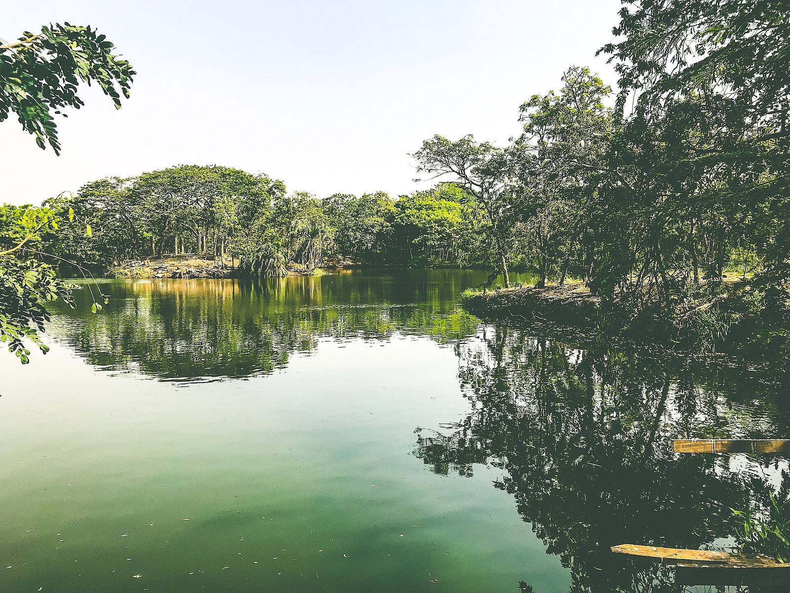 Botanical Garden in Legon