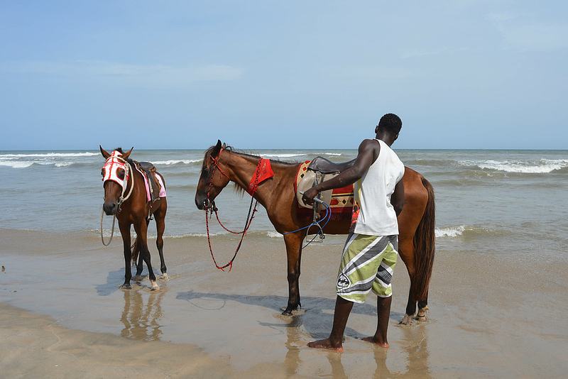 Horses for hire, Labadi beach, Accra