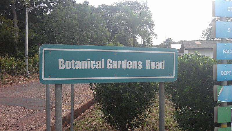 File:UG, Legon Botanical Gardens (6).jpg