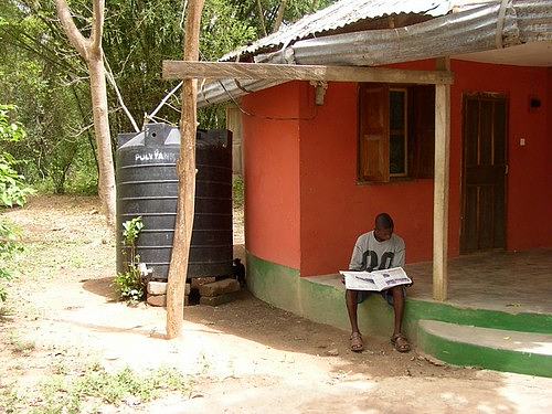 Tafi Atome Monkey Sanctuary (Ghana 2005)