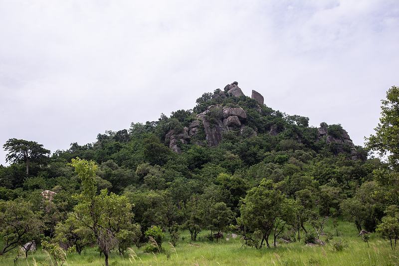 Wiki loves earth shia hills nipah dennis 2019 003.jpg
