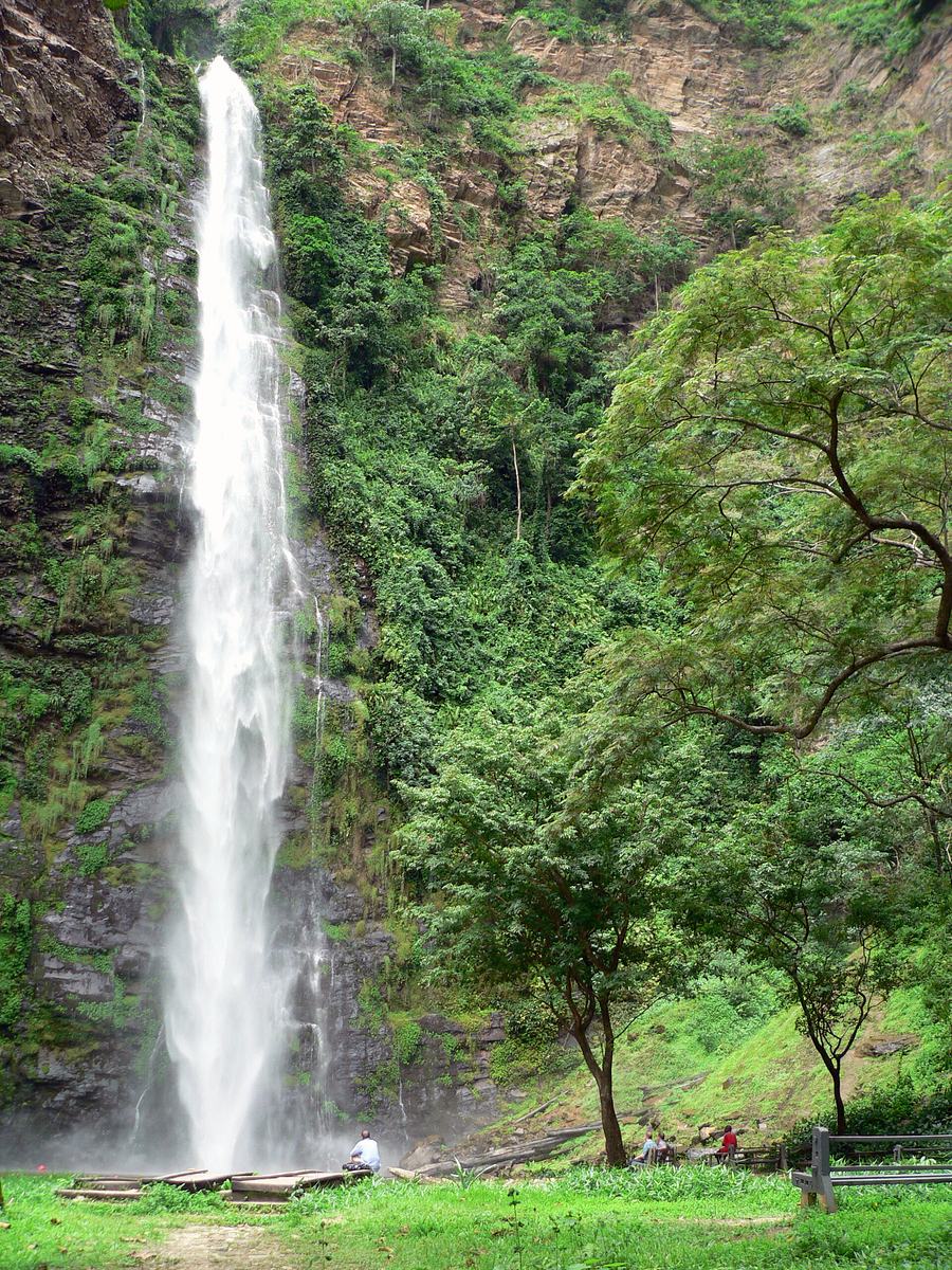 Water cascading down a tall rock cliff face into a pool at the lower Wli waterfall, surrounded by forest.