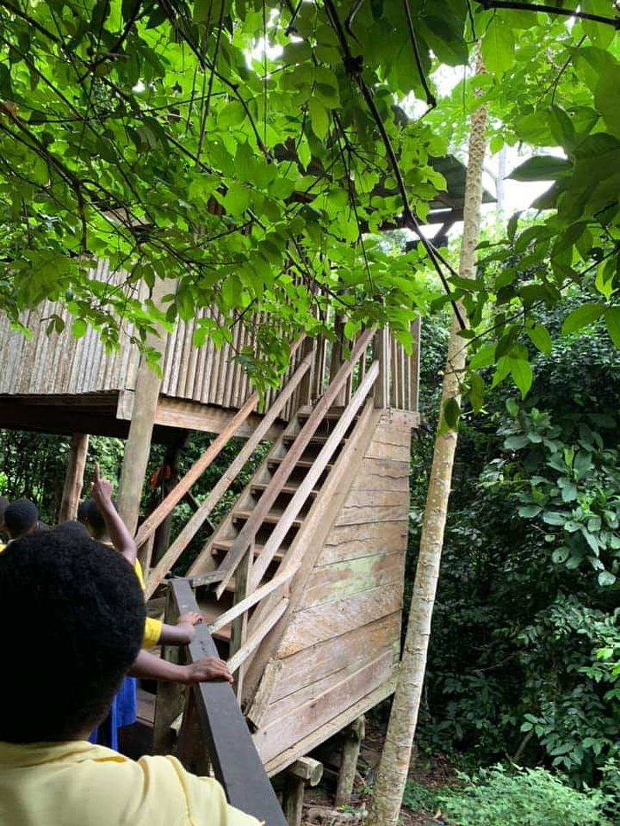 Kakum National Park - Cape Coast