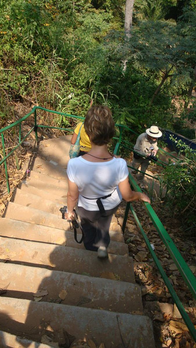A long wooden and concrete staircase descending through forest toward Kintampo Waterfalls