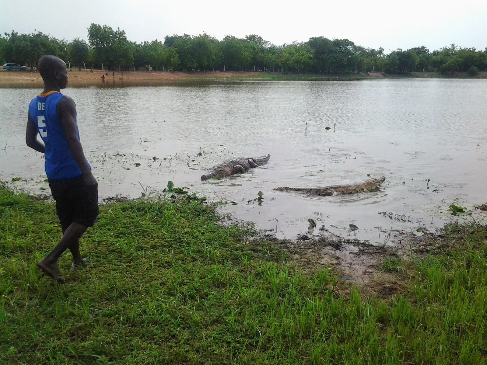 Paga Crocodile Pond (tourism)