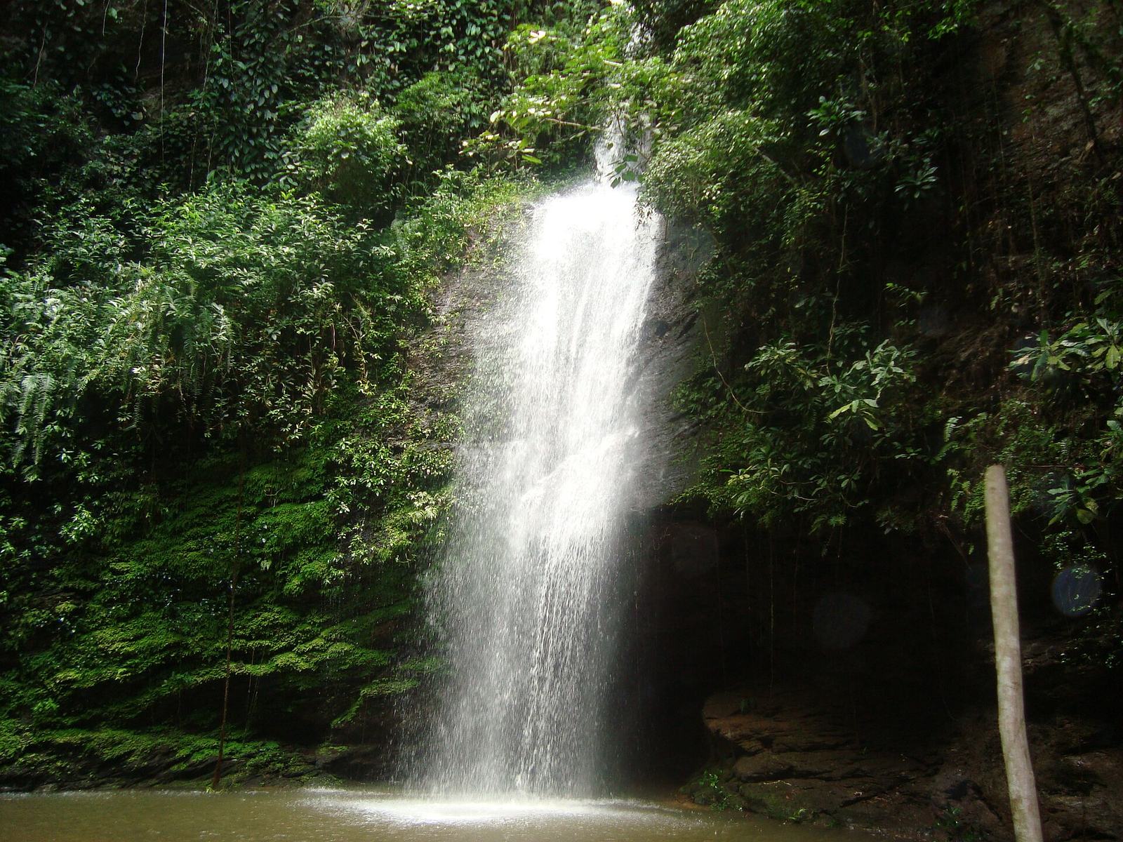 Wli waterfalls