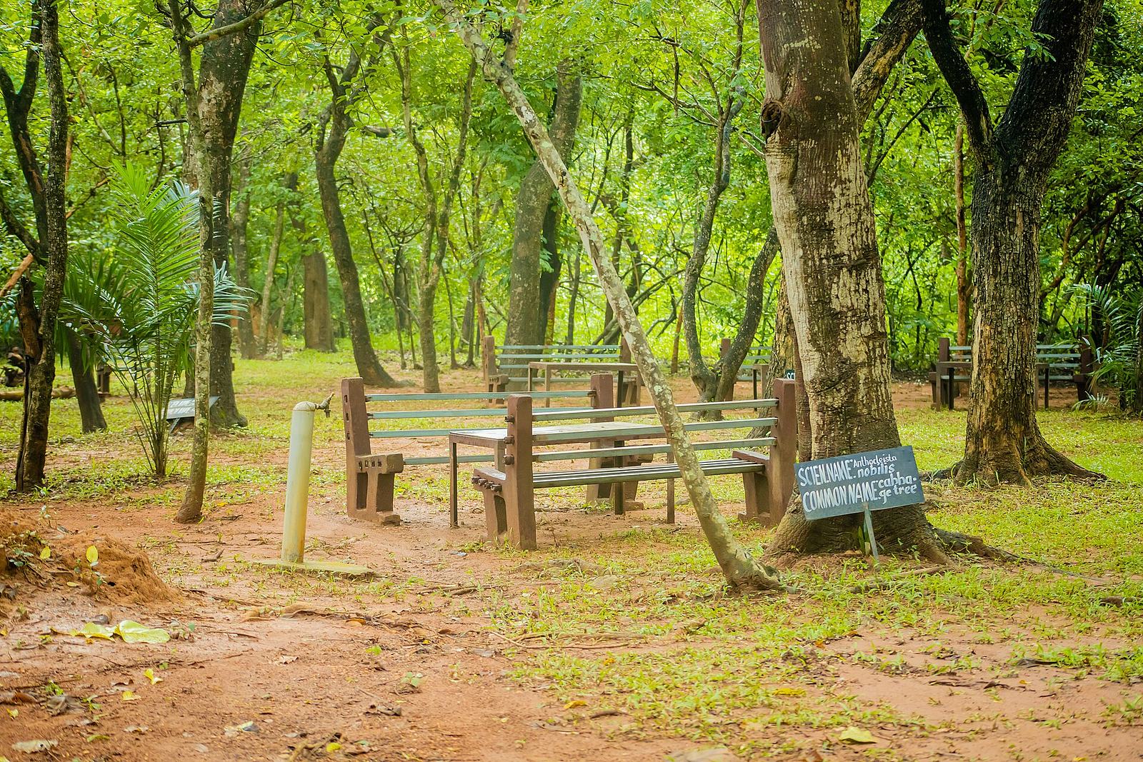 A shaded sitting area at Kyabobo National Park in Ghana.