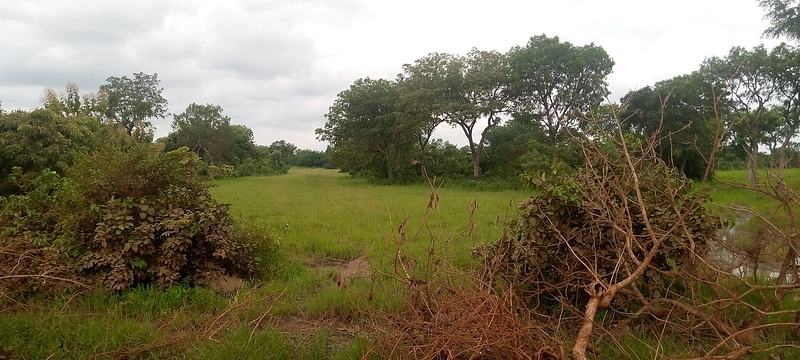 Roadside view of the Salaga Slave wells and baths site in Ghana