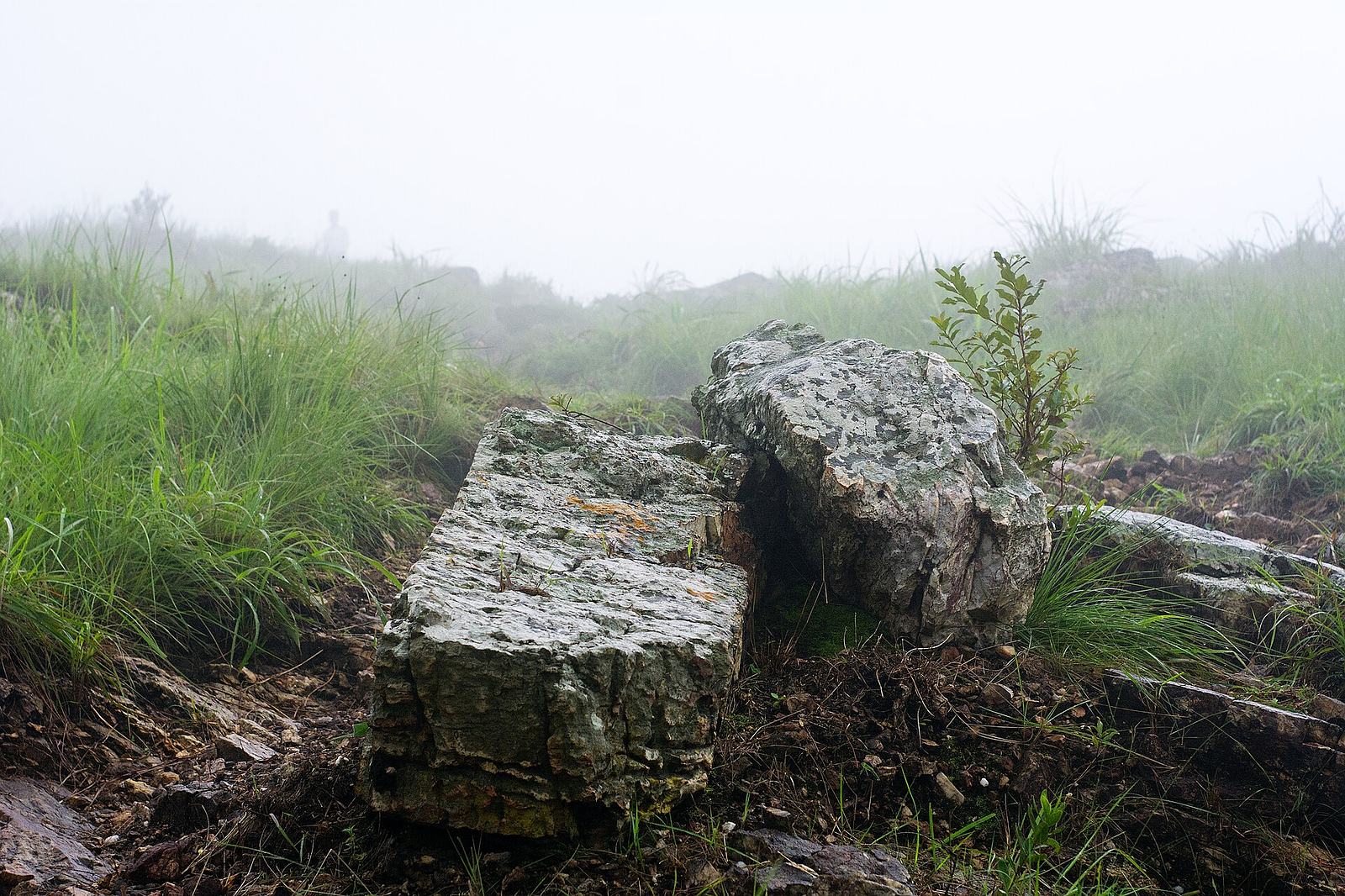 Rock on Mount Gemi
