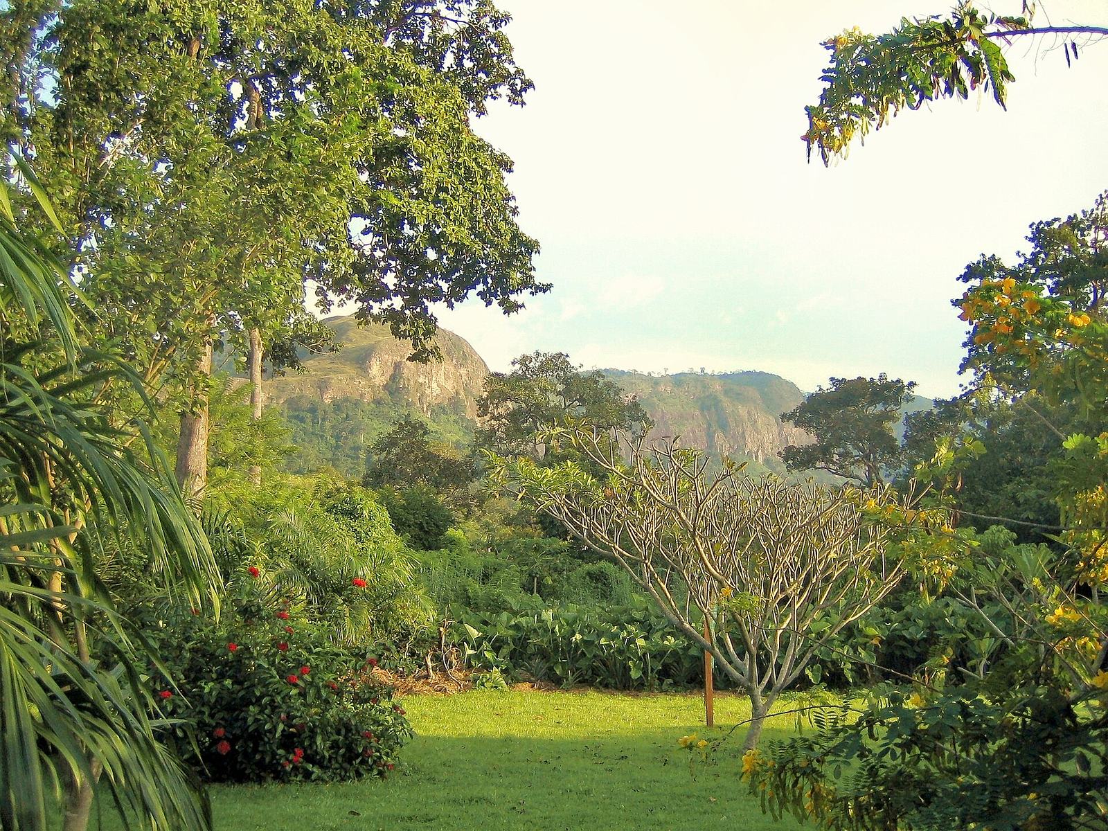 File:Garden Waterfall Lodge B002a.jpg