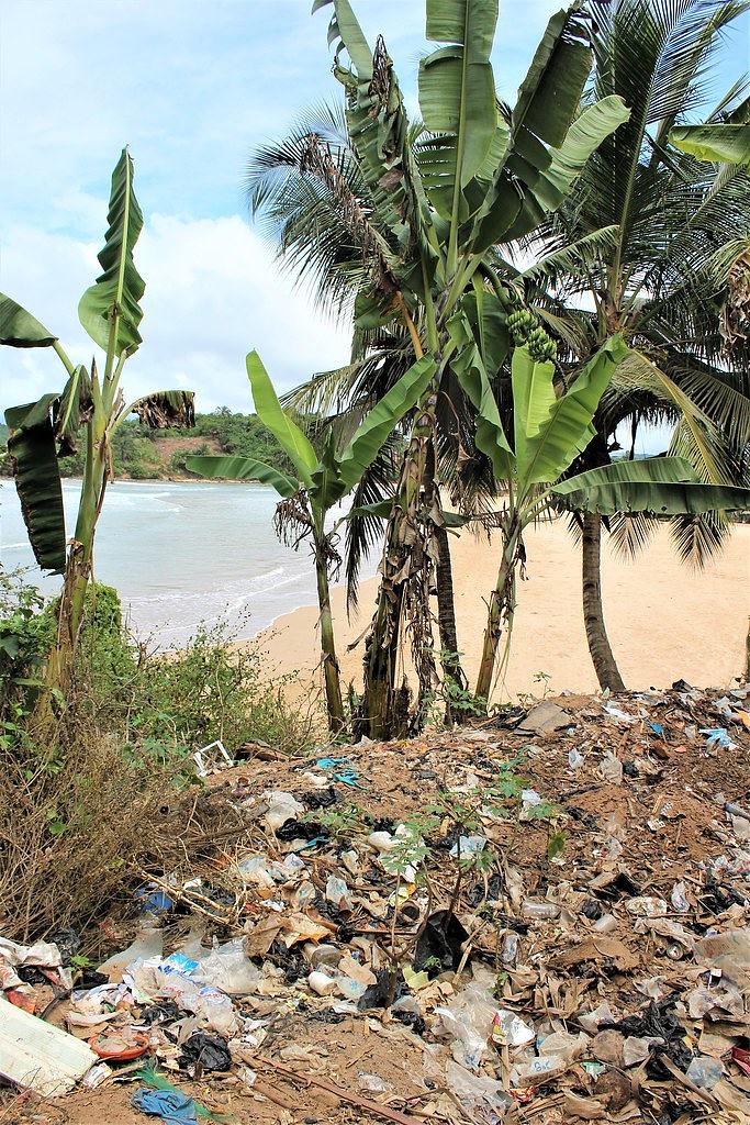 Shit and Trash on Akwidaa Beach, Ghana