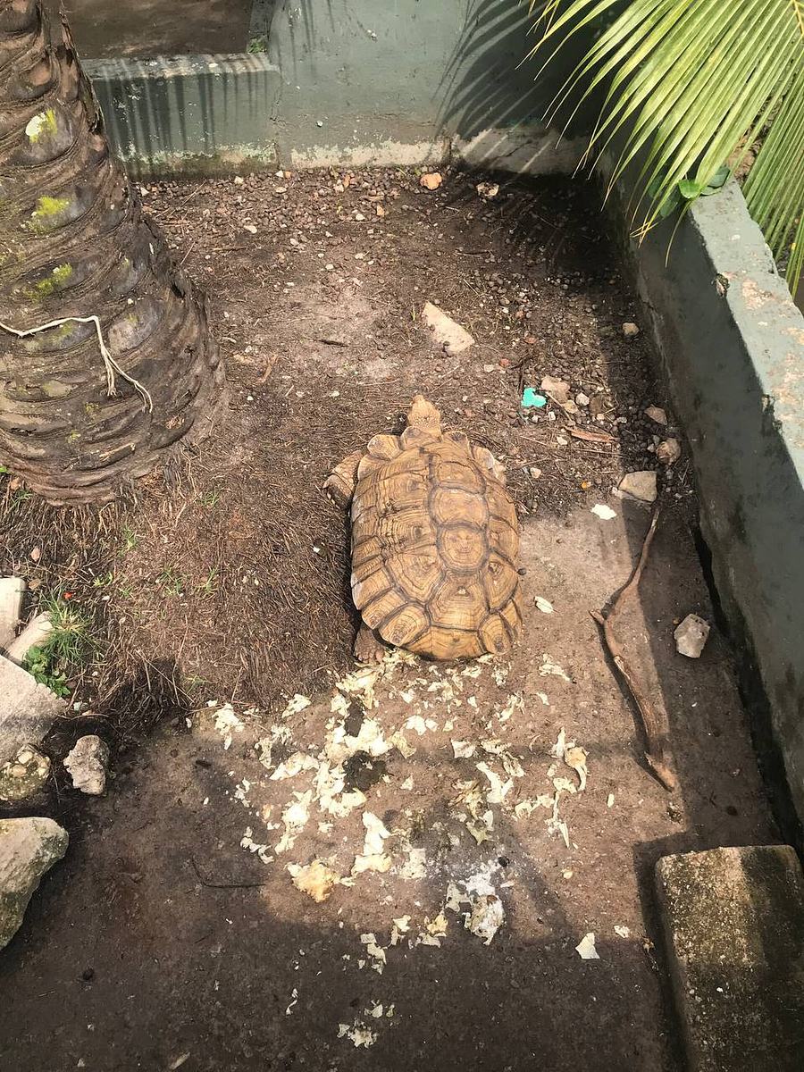 A picture from the zoo
