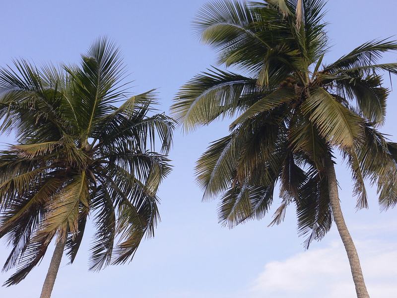 Winneba Beach, Ghana