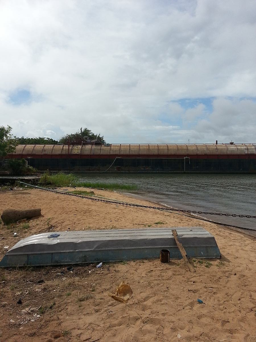 Riverbank near the Volta Estuary at Ada, Ghana.