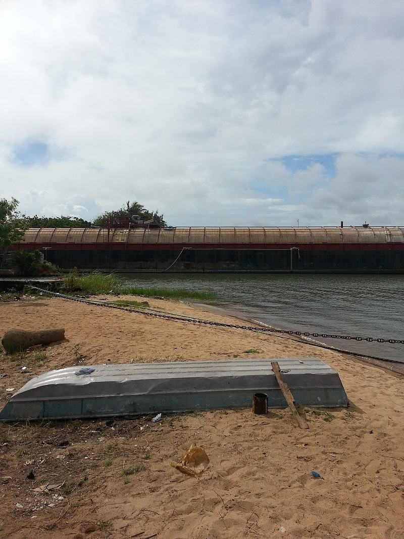 Riverbank near the Volta Estuary at Ada, Ghana.
