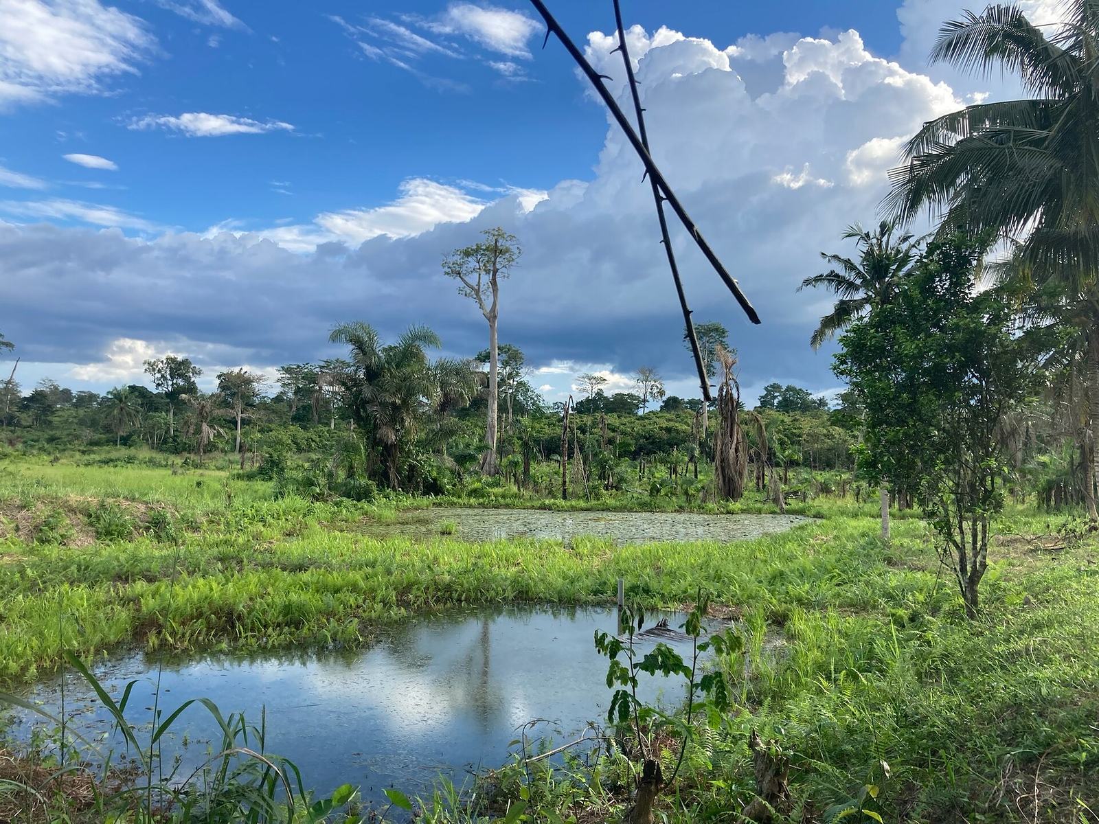Bia National Park