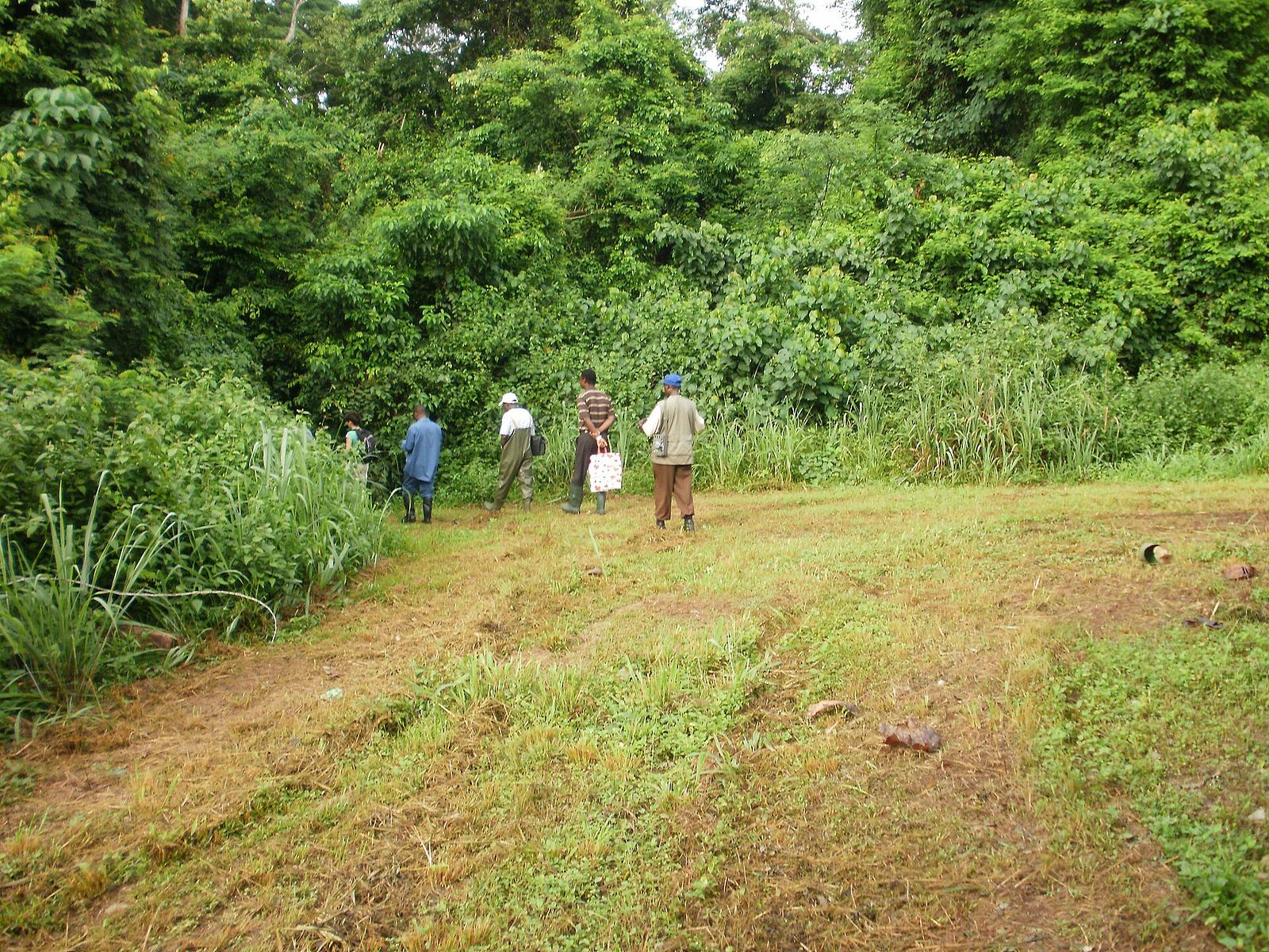 Entrance sign and track at the Bia Forest reserve, Ghana