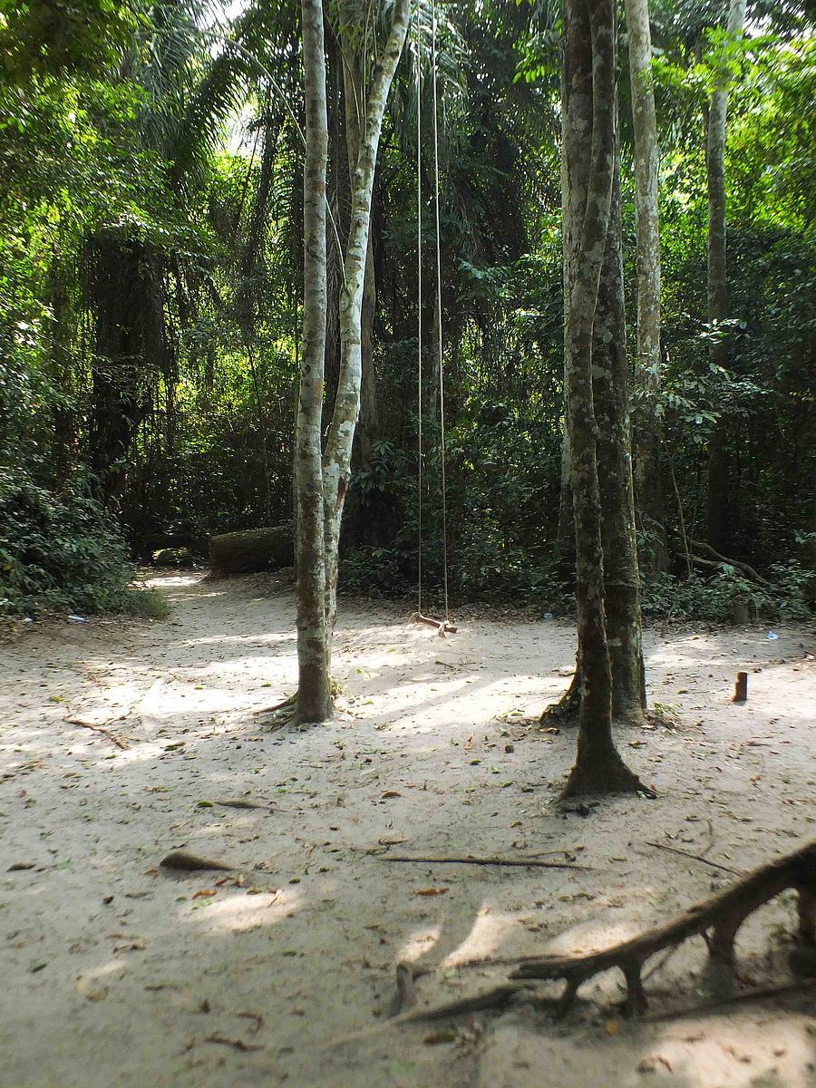 Groundfloor of the 'Big Tree' (Esen-Epam)