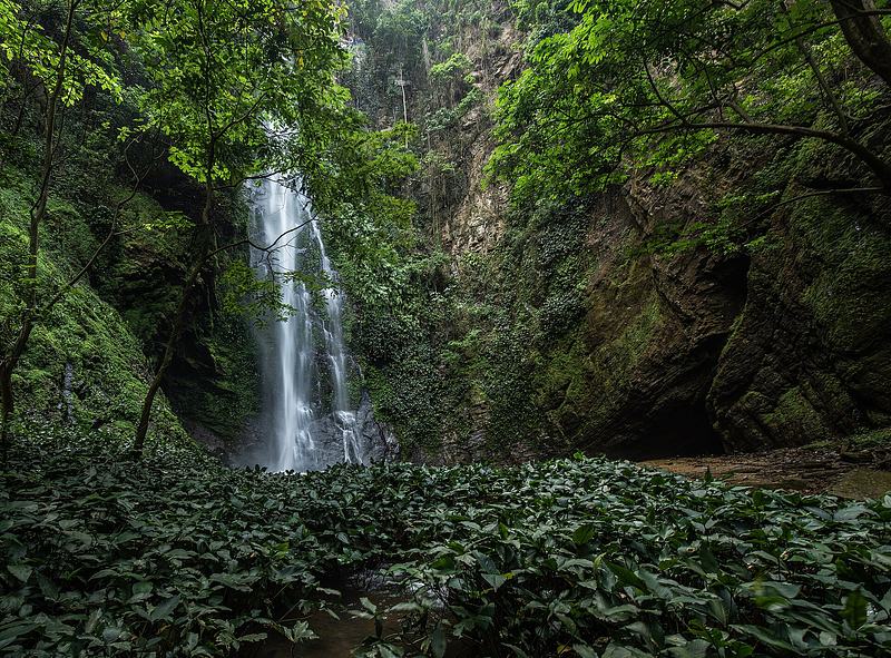 Tagbo Falls cascading through lush forest near Liati Wote, Ghana