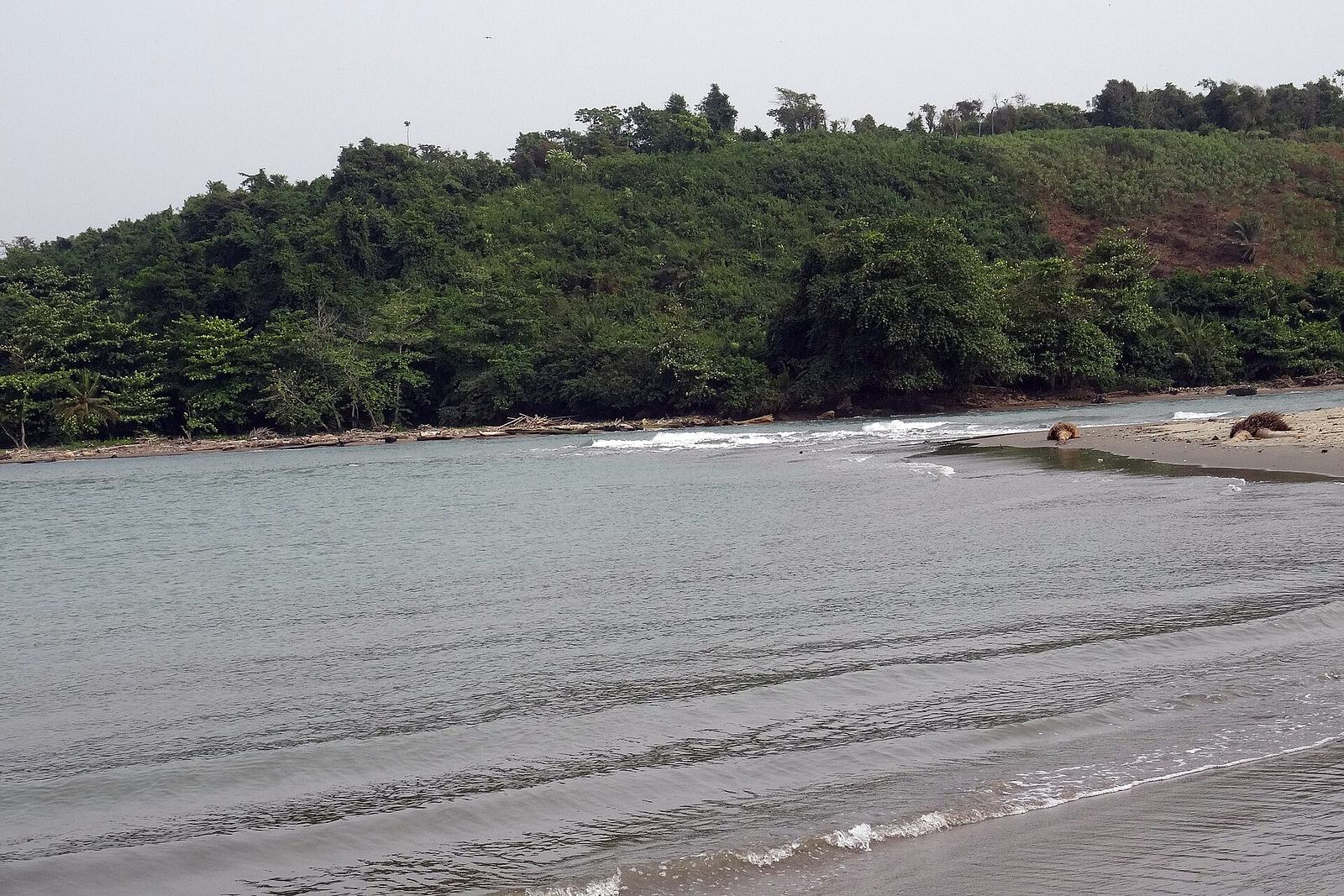 Estuary of Ankobra River